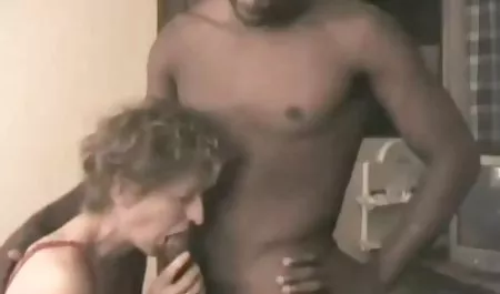 حتما مقاطع سكس عربى مجانى التروس نقاء المعدن
