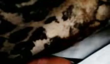 س. د. 69 شعر الفتاة الشقية مقاطع سكس عربي قديم