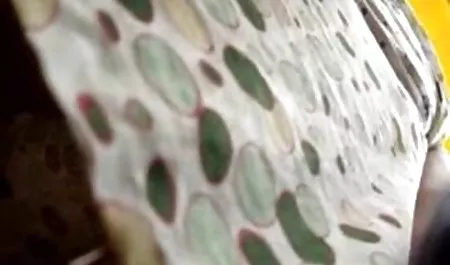 نريد مقطع سكس مترجم عربي معاملة خاصة قد تكون القروض بالنسبة لي