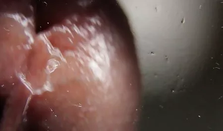 مثير ايفرت يحصل على ضعف الفريق مقاطع يكس عربي