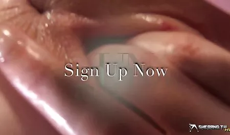 نقل القطط على مقاطع سكس ممثلين عرب الفطور