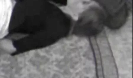استعداد الشباب احلى مقطع سكس عربي ?????????? بين قوسين