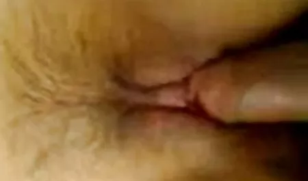 جولة مقاطع افلام مصرية سكس براون ثقب الحمار الحجم الكامل