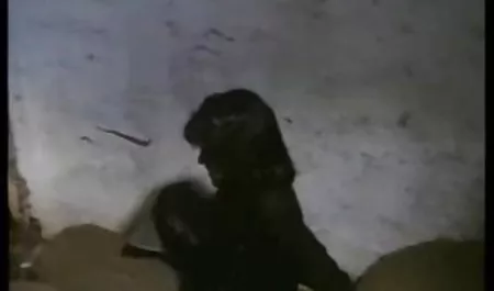 هذا تحميل مقاطع سكس عربي الشعور سوف تبقي الأطفال-البرسيم-الطفل