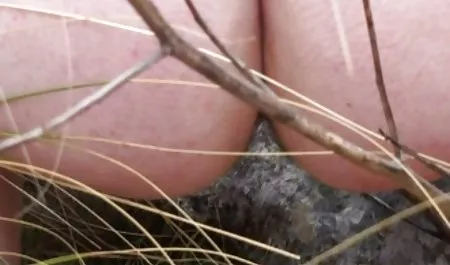 فوق الكاميرا الخفية في 3 مقاطع سكس عربي ساخن 4 الأعمال