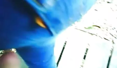 مثير جميلة مقطع سكس عربي فيديو ميغان يحصل مسمر للسرقة