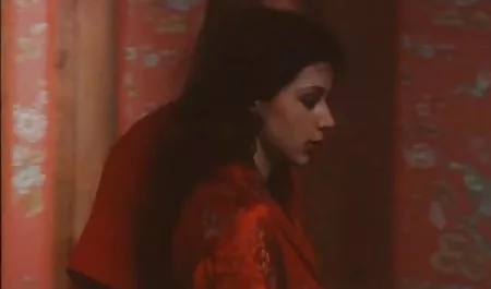 العرب المهاجرين مقاطع فيديو سكس عربي جديد في المكسيك