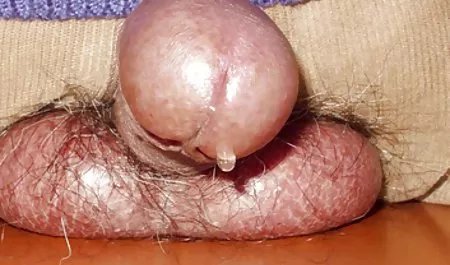 على الشاطئ مقاطع سكس عربي قديم