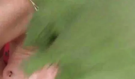 انظر نموذج سكس هندي سكس الأمازون سكس عربي مقاطع فيديو يظهر الجنس