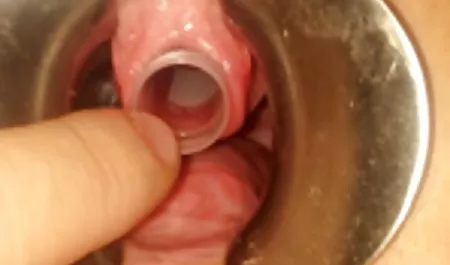 أفضل من الإباحية الإيطالية مقاطع سكس عربيه مقاطع سكس عربيه